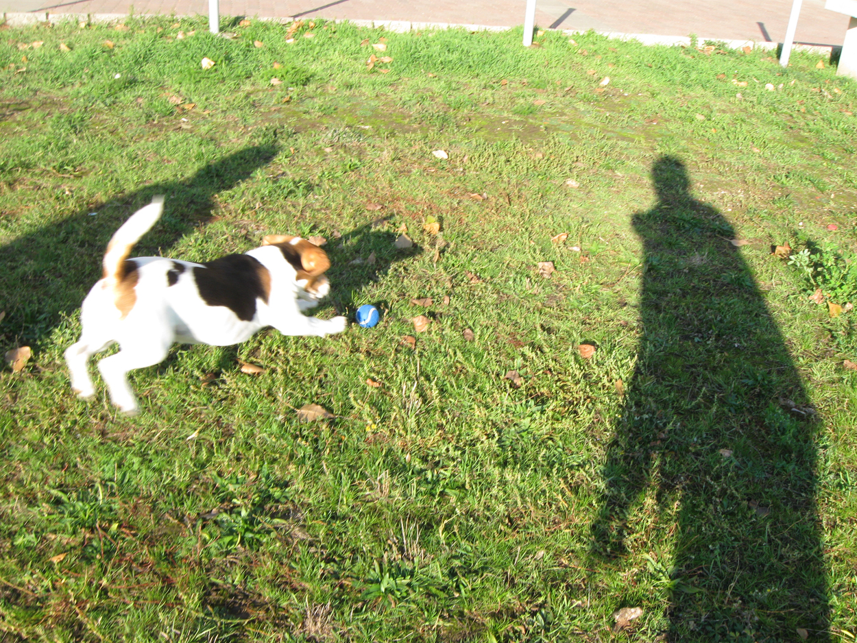 ap731417-06-dg1_ggxhu04v.png
