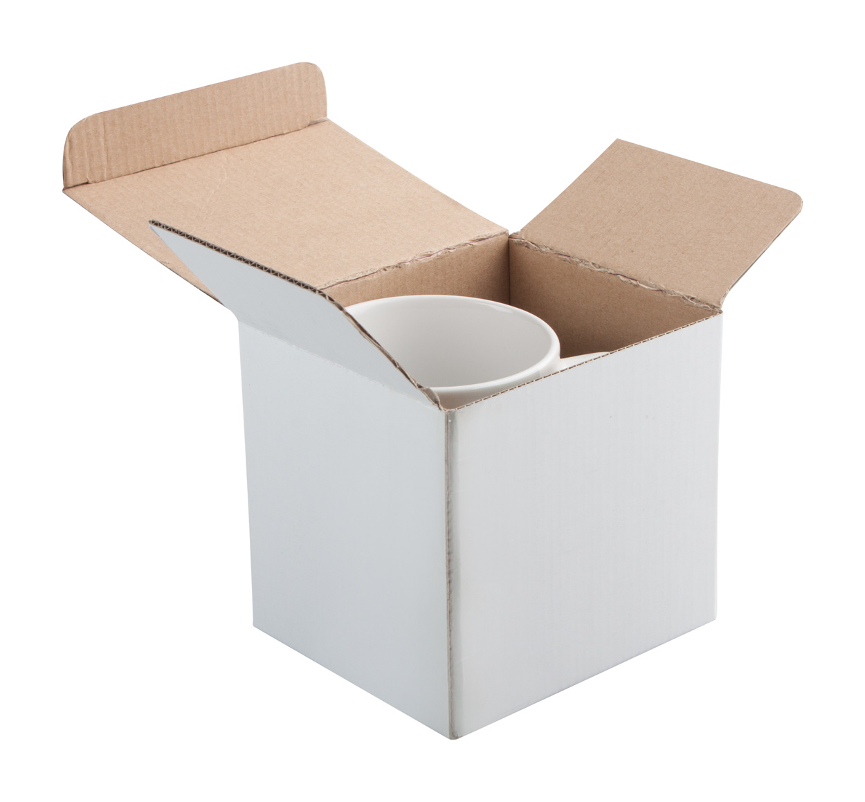 ap809474-01-fc1_qfa2g5e5.png
